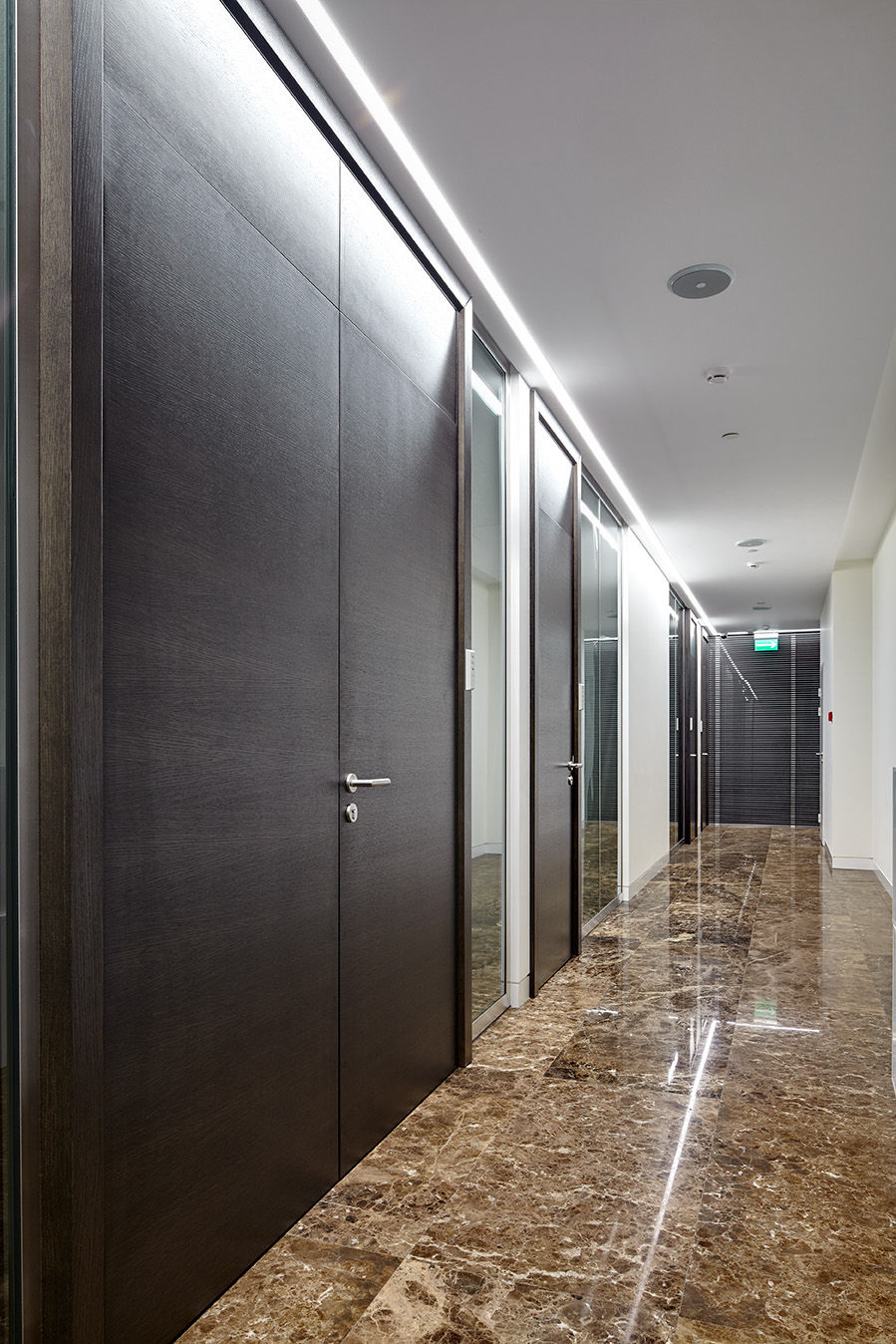 Фото Шпоновані двері Regina