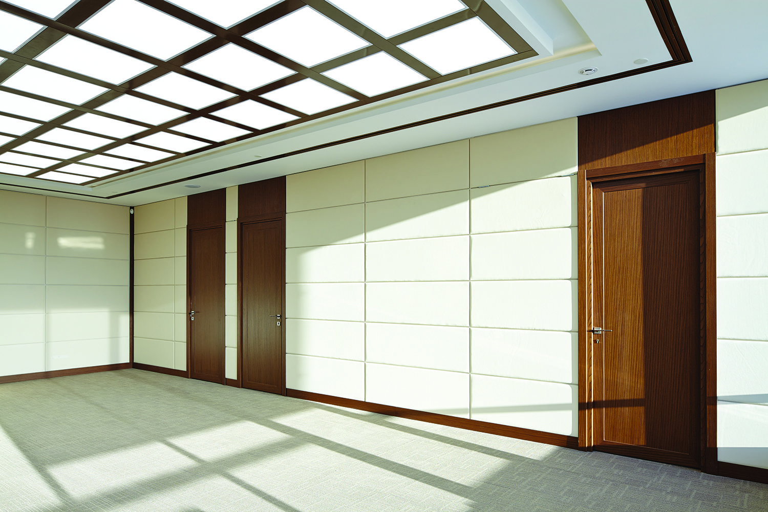 Фото Шпоновані двері Regina