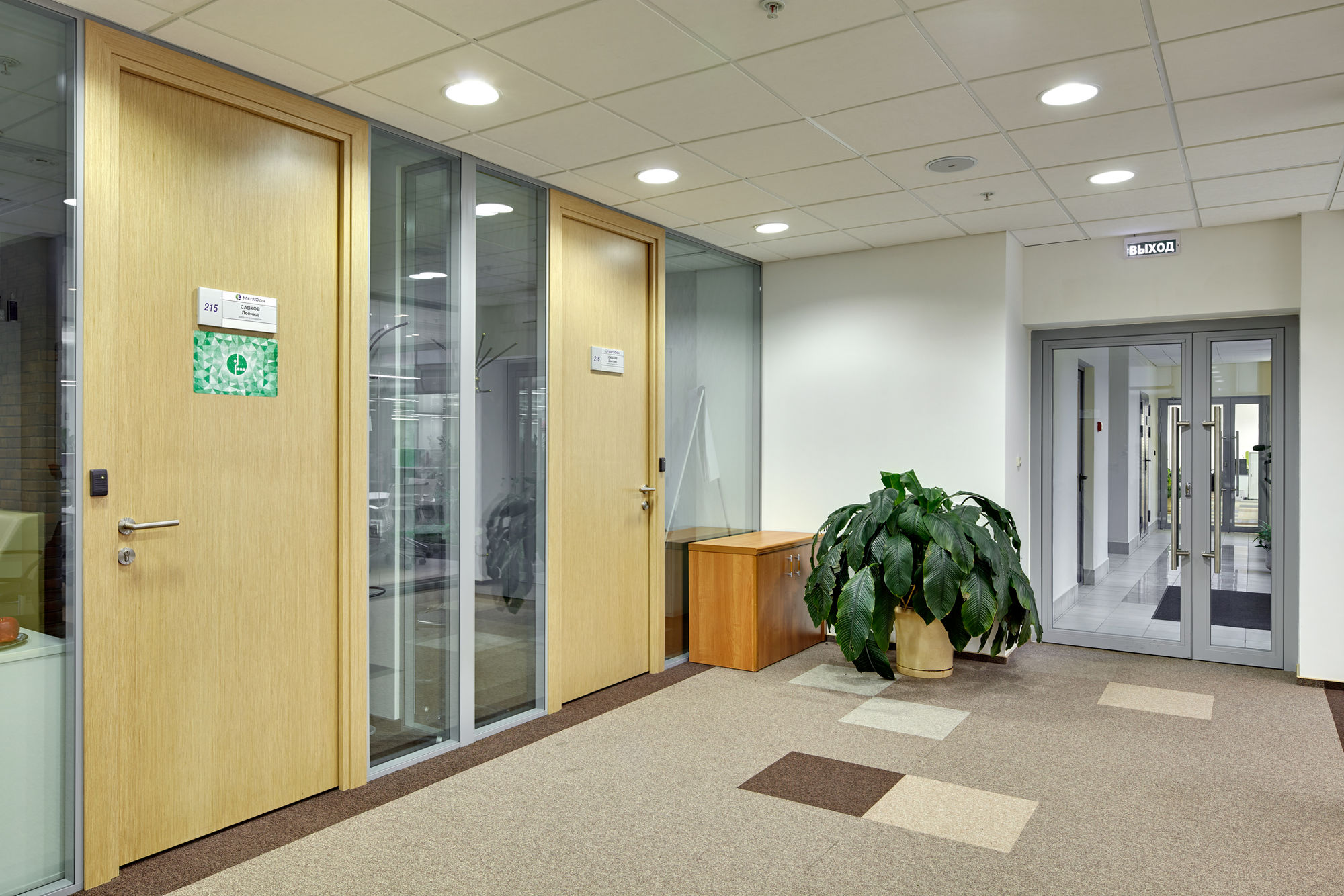 Фото Шпоновані двері Regina