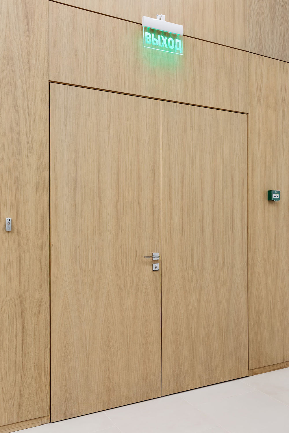 Фото Шпоновані двері Regina