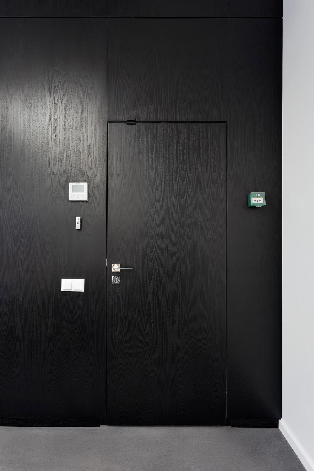 Фото Шпоновані двері Regina