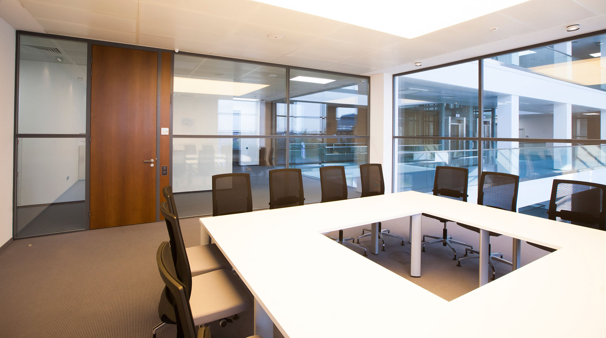 Фото Шпоновані двері Regina