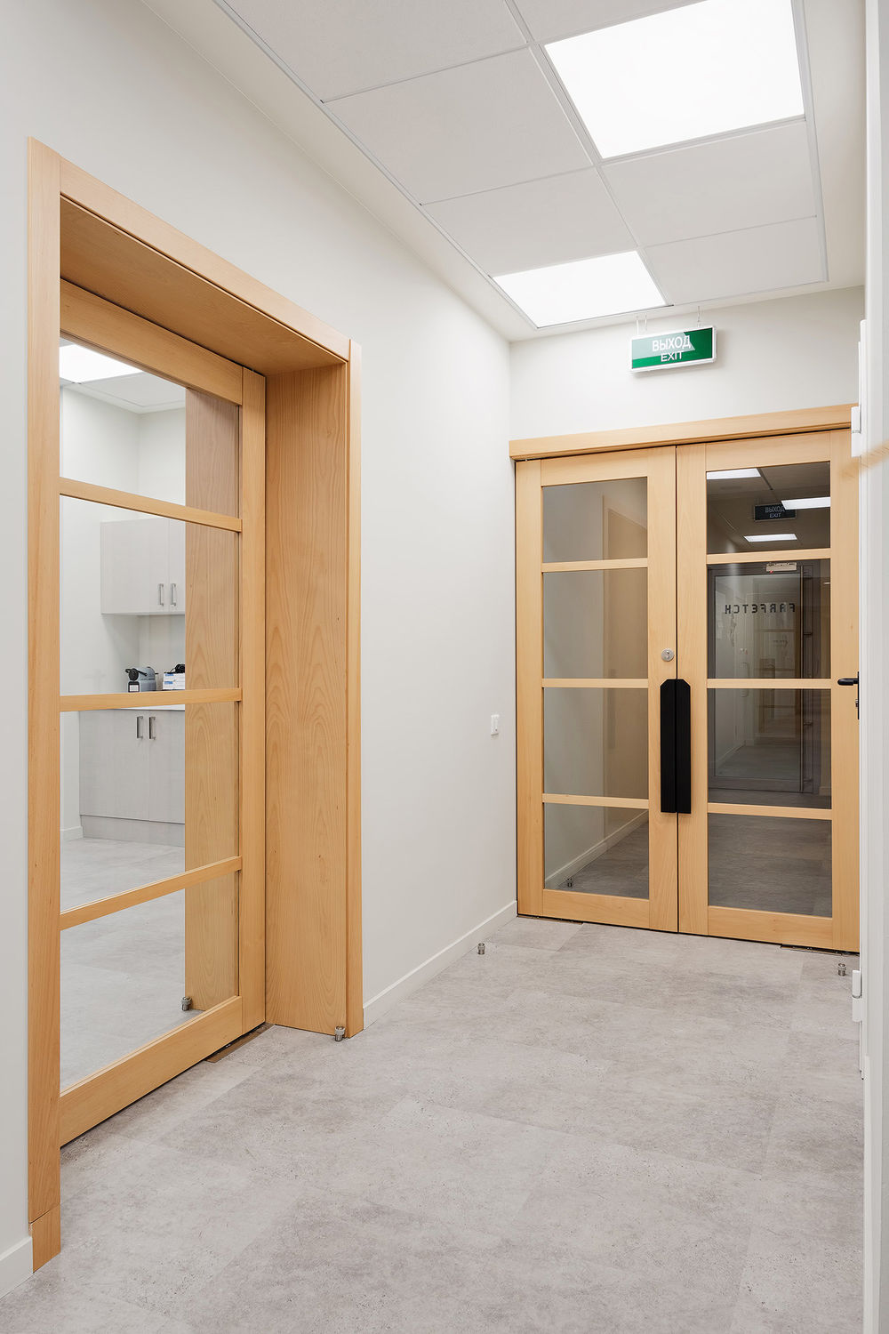 Фото Шпоновані двері Regina