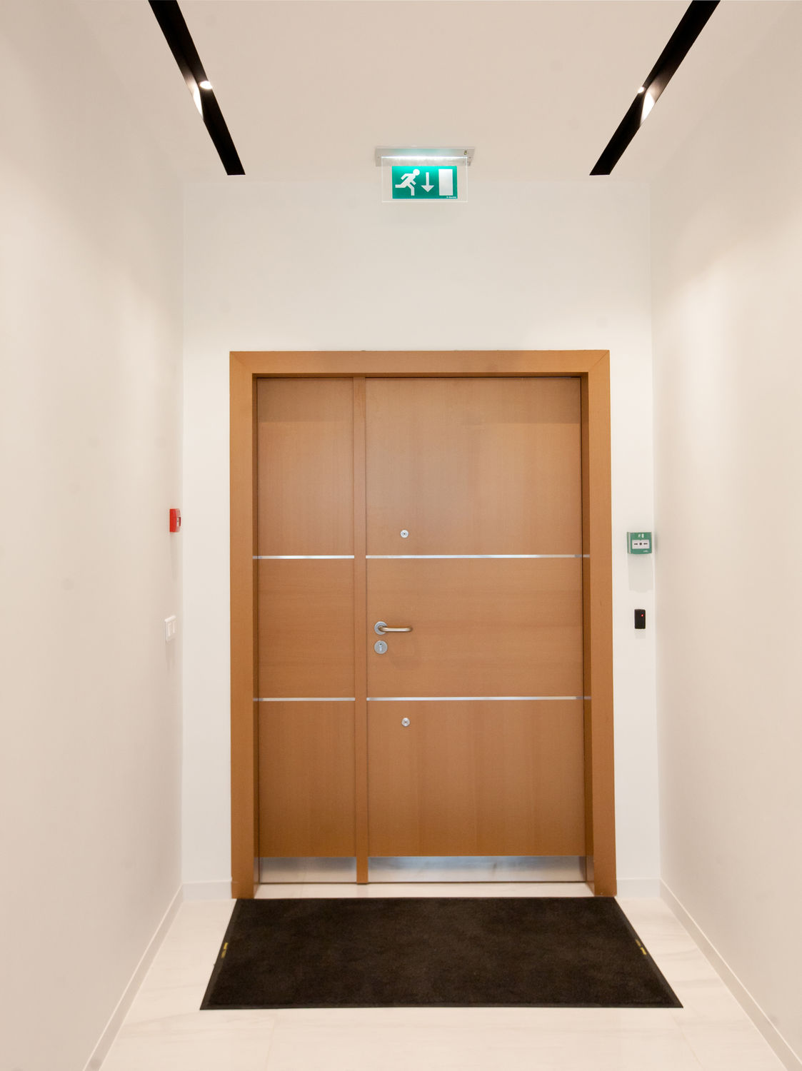 Фото Шпоновані двері Regina