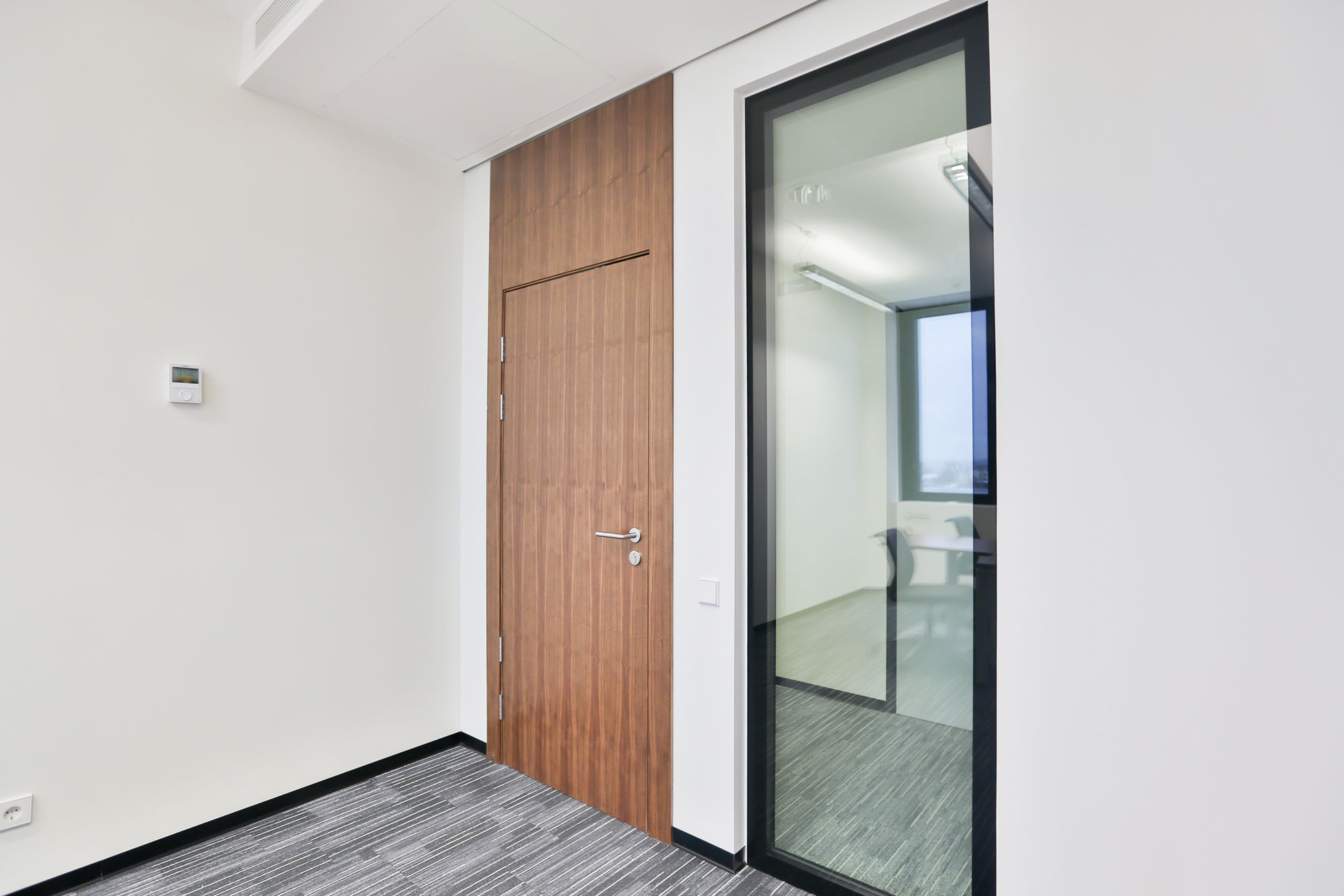 Фото Шпоновані двері Regina