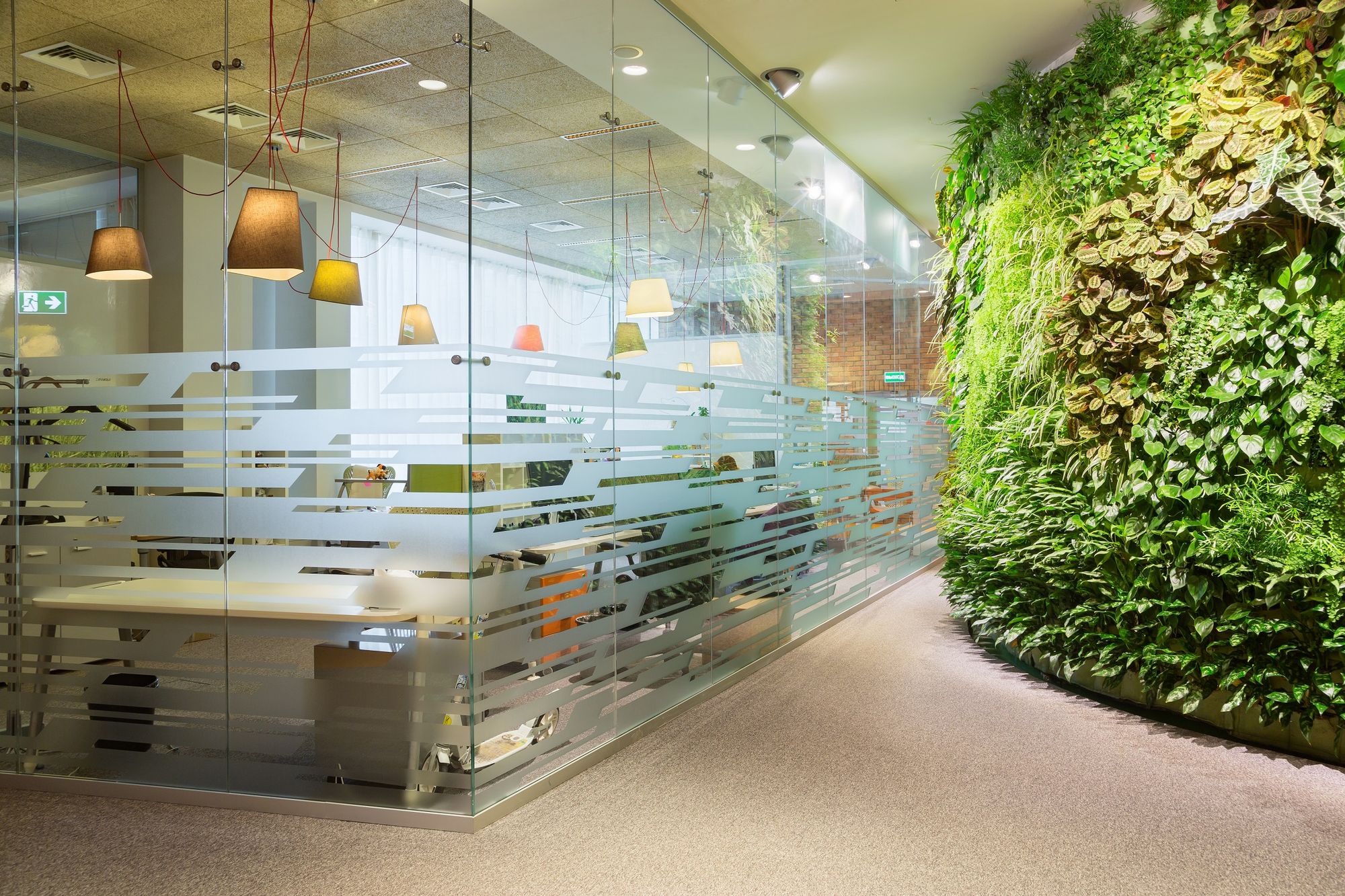 Фото Суцільноскляні перегородки NAYADA-Crystal